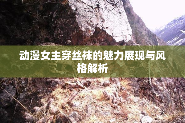 动漫女主穿丝袜的魅力展现与风格解析