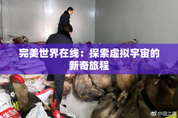 完美世界在线：探索虚拟宇宙的新奇旅程