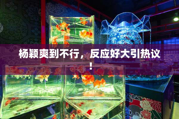 杨颖爽到不行，反应好大引热议！