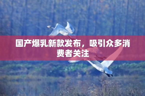 国产爆乳新款发布，吸引众多消费者关注
