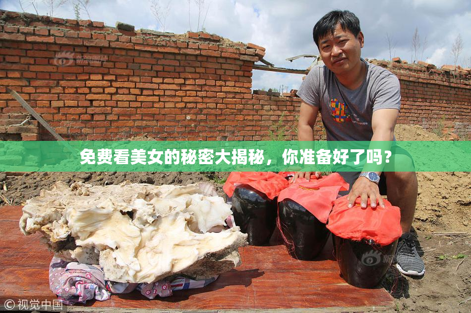免费看美女的秘密大揭秘，你准备好了吗？