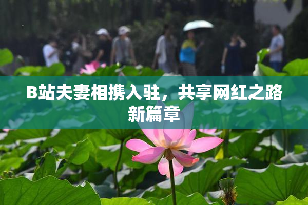 B站夫妻相携入驻，共享网红之路新篇章