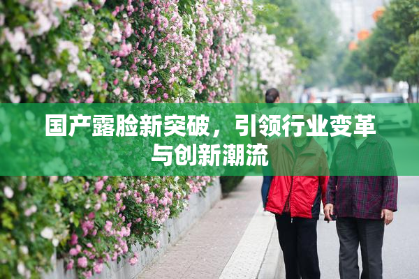 国产露脸新突破，引领行业变革与创新潮流