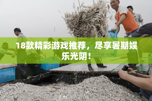 18款精彩游戏推荐，尽享暑期娱乐光阴！