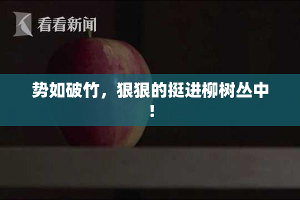势如破竹，狠狠的挺进柳树丛中！