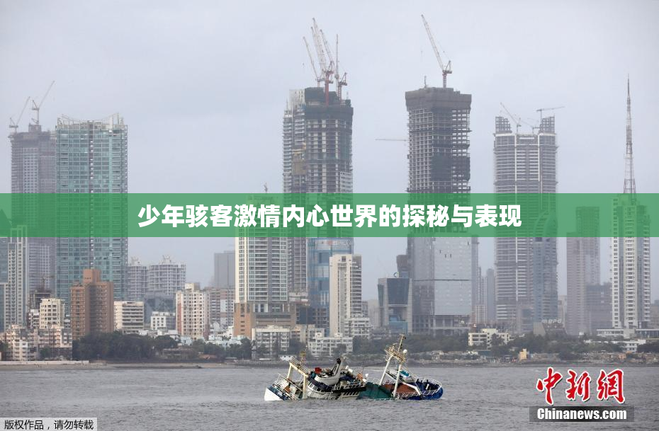 少年骇客激情内心世界的探秘与表现