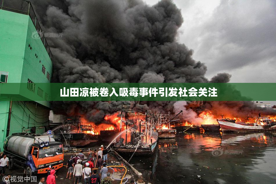 山田凉被卷入吸毒事件引发社会关注