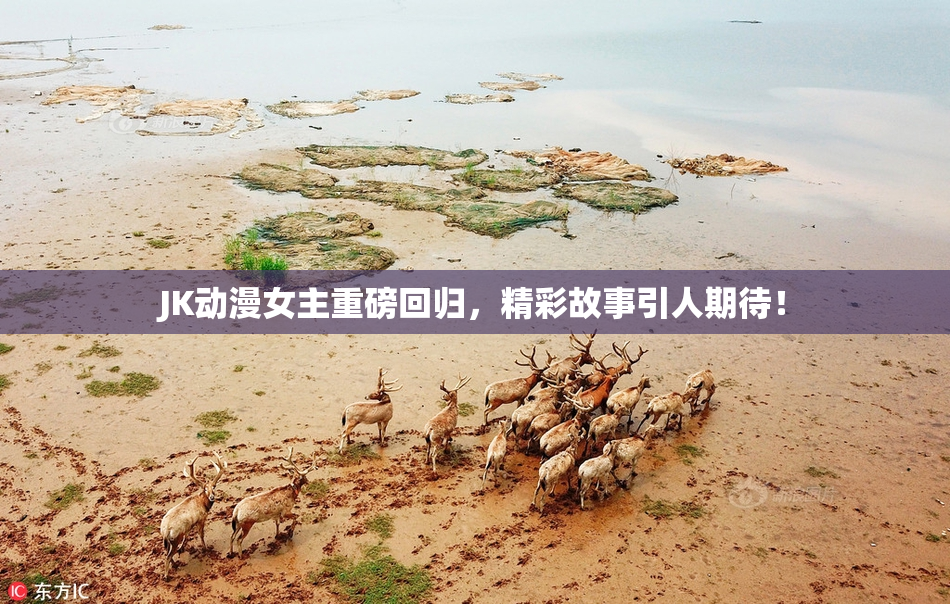 JK动漫女主重磅回归，精彩故事引人期待！