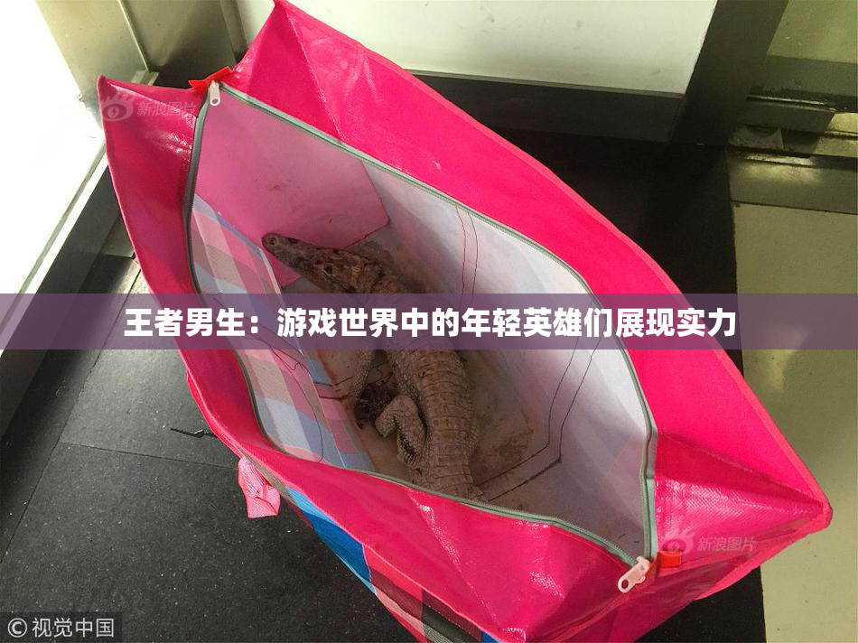 王者男生：游戏世界中的年轻英雄们展现实力