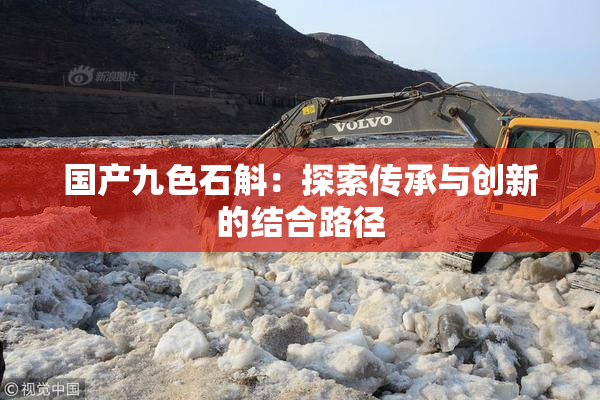 国产九色石斛：探索传承与创新的结合路径