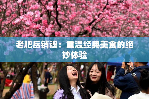 老肥岳销魂：重温经典美食的绝妙体验