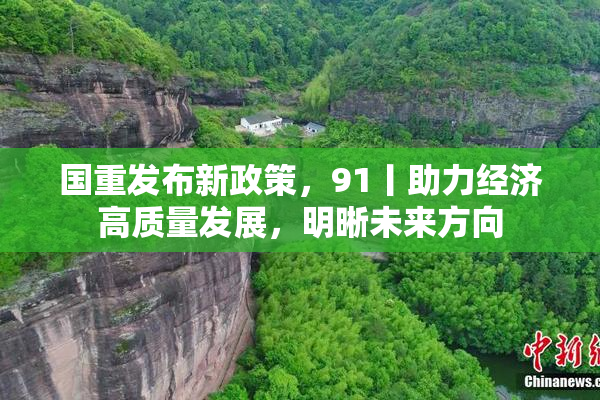国重发布新政策，91丨助力经济高质量发展，明晰未来方向