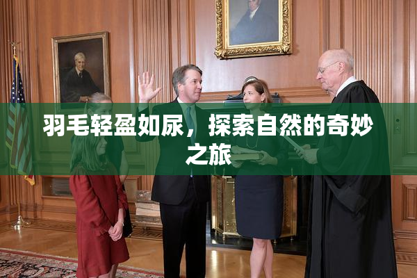 羽毛轻盈如尿，探索自然的奇妙之旅