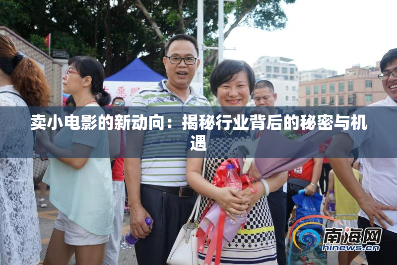 卖小电影的新动向：揭秘行业背后的秘密与机遇