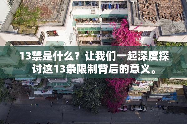 13禁是什么？让我们一起深度探讨这13条限制背后的意义。