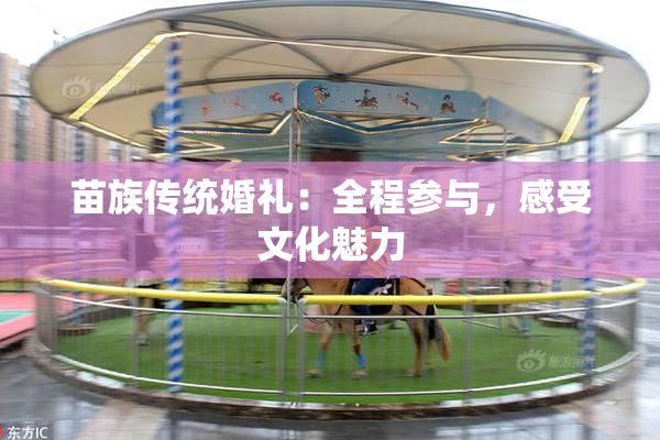 苗族传统婚礼：全程参与，感受文化魅力