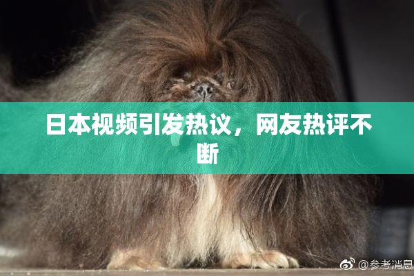 日本视频引发热议，网友热评不断