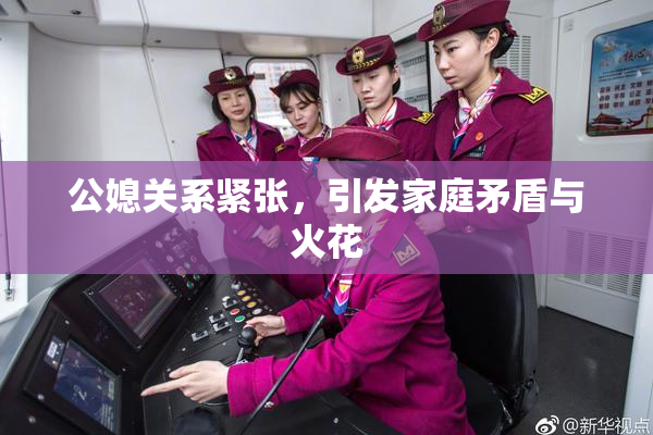 公媳关系紧张，引发家庭矛盾与火花