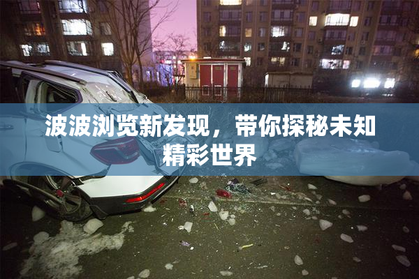 波波浏览新发现，带你探秘未知精彩世界