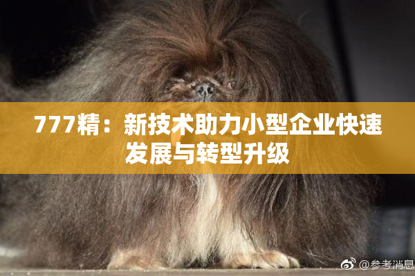 777精：新技术助力小型企业快速发展与转型升级