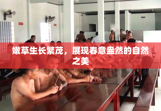 嫩草生长繁茂，展现春意盎然的自然之美