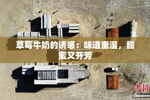 草莓牛奶的诱惑：味道重湿，甜蜜又芬芳