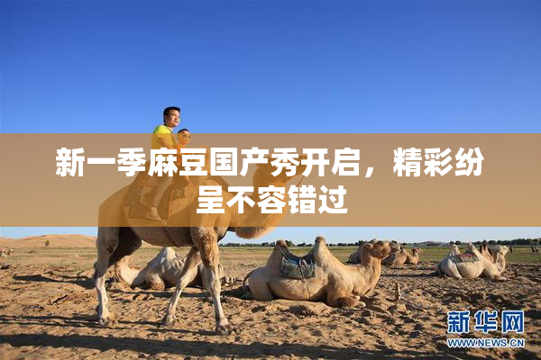 新一季麻豆国产秀开启，精彩纷呈不容错过