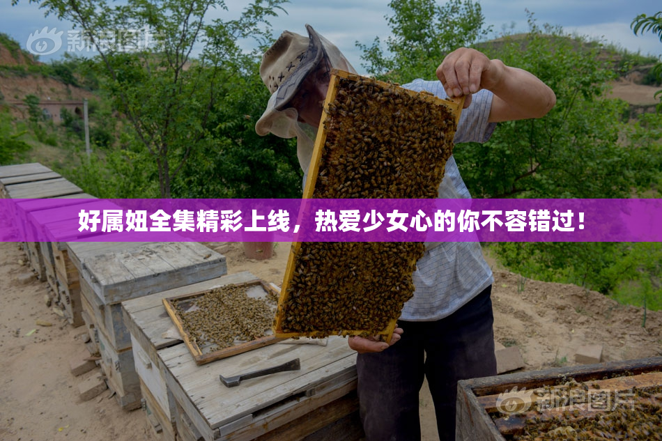 好属妞全集精彩上线，热爱少女心的你不容错过！