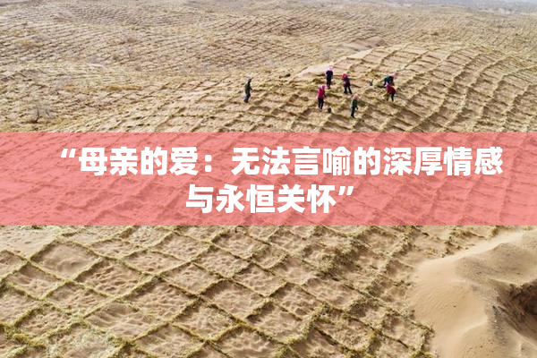 “母亲的爱：无法言喻的深厚情感与永恒关怀”
