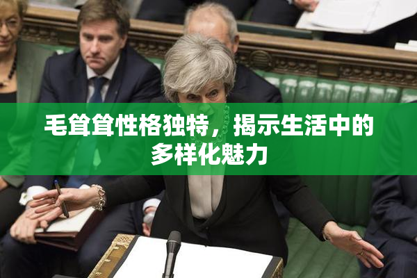毛耸耸性格独特，揭示生活中的多样化魅力