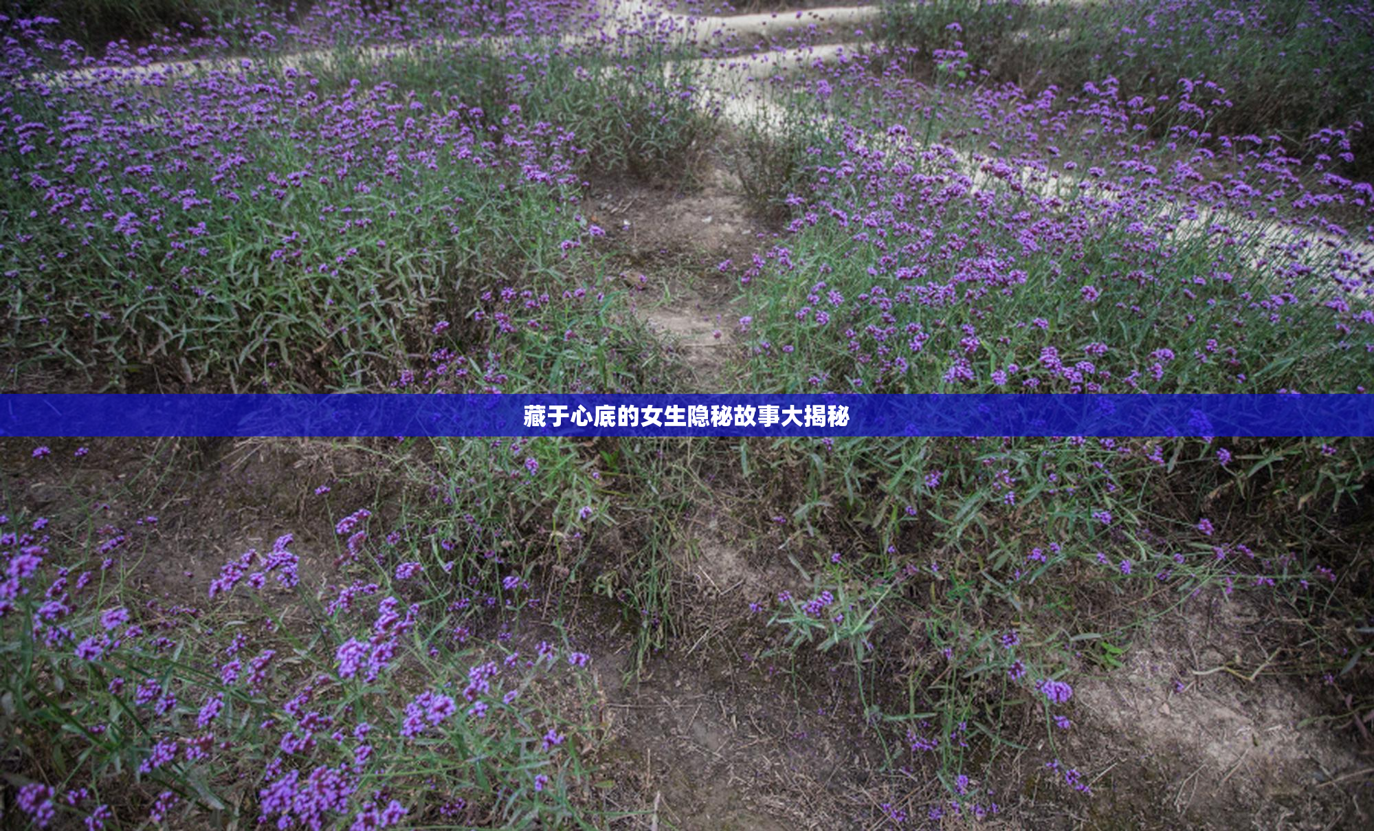 藏于心底的女生隐秘故事大揭秘