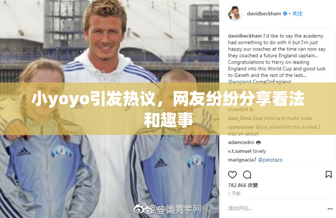 小yoyo引发热议，网友纷纷分享看法和趣事