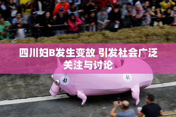 四川妇B发生变故 引发社会广泛关注与讨论