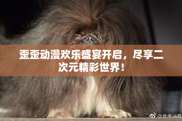 歪歪动漫欢乐盛宴开启，尽享二次元精彩世界！