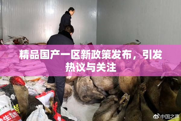 精品国产一区新政策发布，引发热议与关注