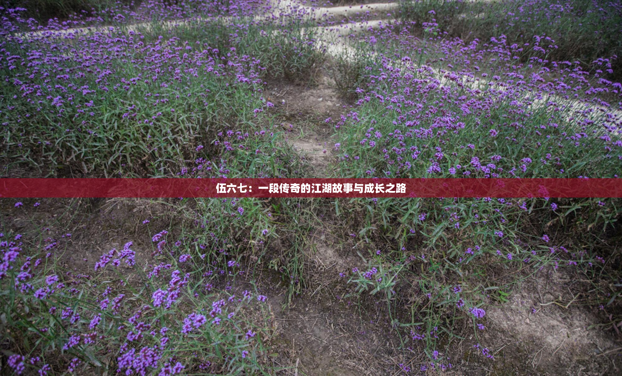 伍六七：一段传奇的江湖故事与成长之路