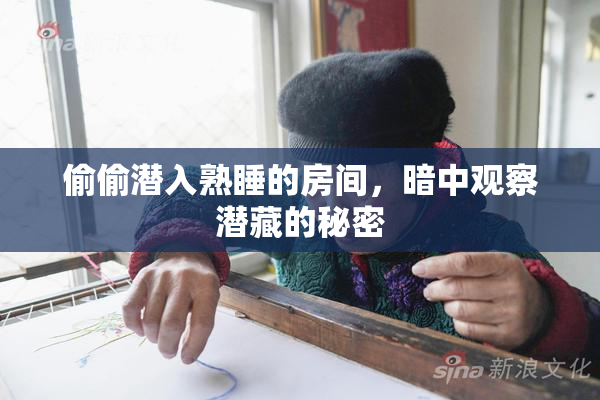 偷偷潜入熟睡的房间，暗中观察潜藏的秘密