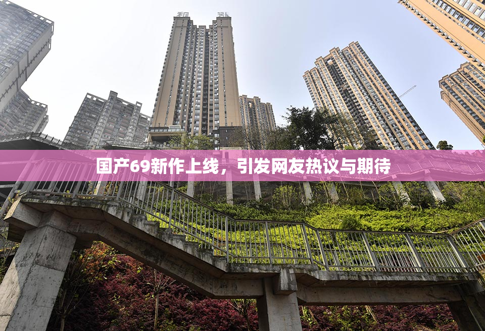 国产69新作上线，引发网友热议与期待
