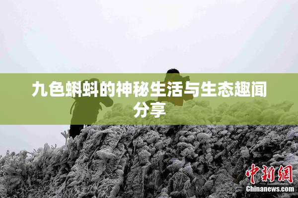 九色蝌蚪的神秘生活与生态趣闻分享