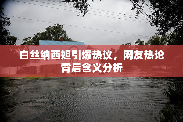 白丝纳西妲引爆热议，网友热论背后含义分析