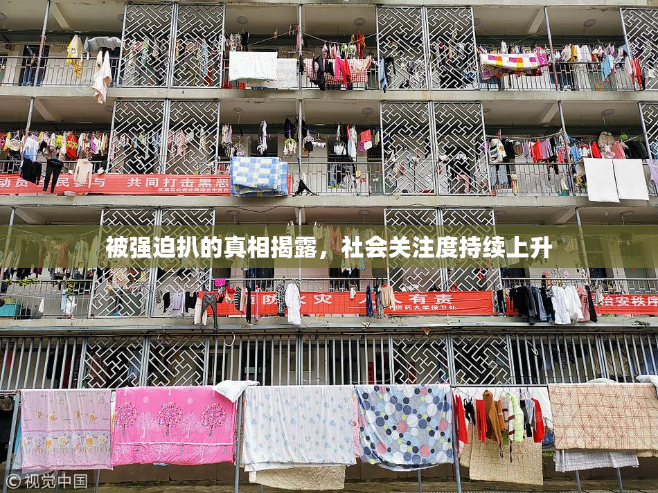 被强迫扒的真相揭露，社会关注度持续上升