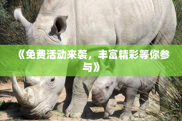 《免费活动来袭，丰富精彩等你参与》