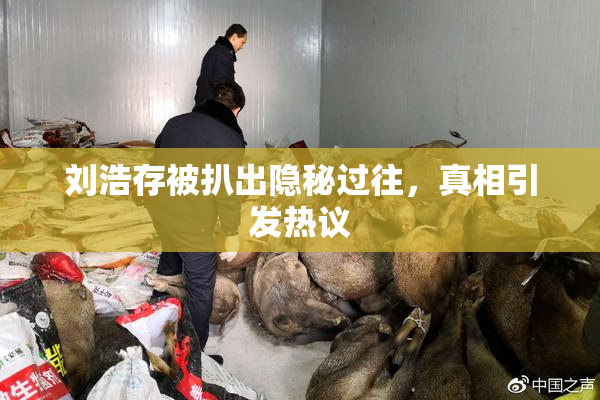 刘浩存被扒出隐秘过往，真相引发热议