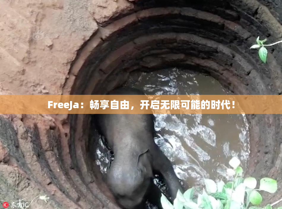 FreeJa：畅享自由，开启无限可能的时代！