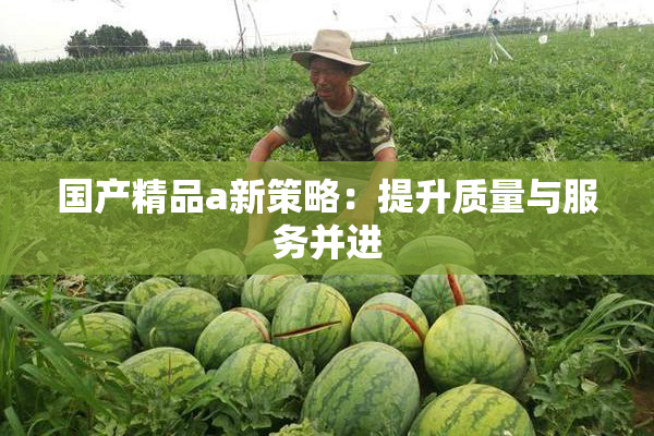 国产精品a新策略：提升质量与服务并进