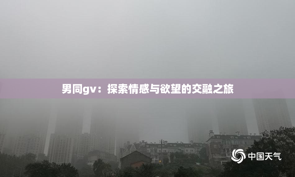 男同gv：探索情感与欲望的交融之旅
