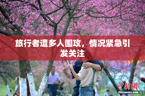 旅行者遭多人围攻，情况紧急引发关注