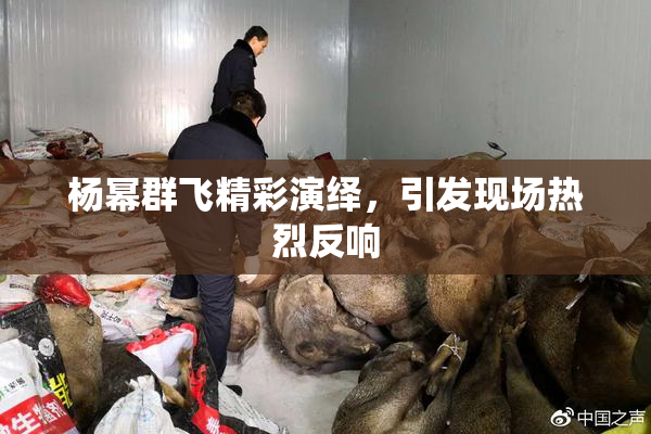 杨幂群飞精彩演绎，引发现场热烈反响