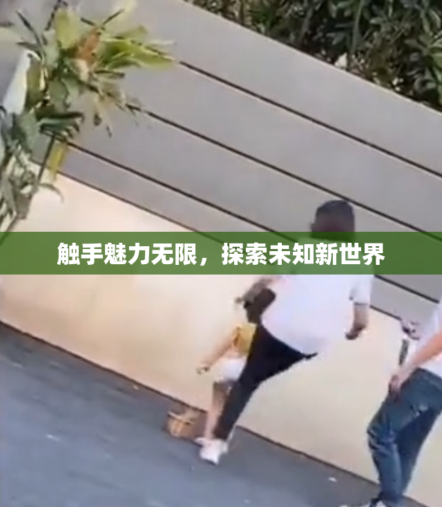 触手魅力无限，探索未知新世界