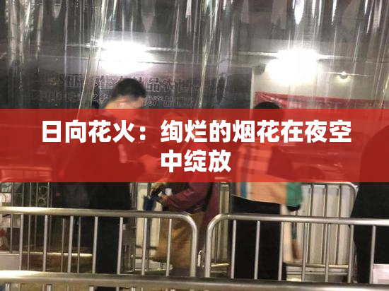 日向花火：绚烂的烟花在夜空中绽放